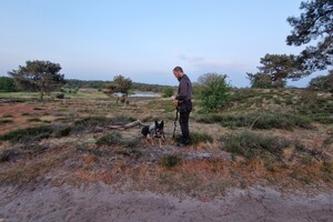 Vida: hondenschool jaar 2022