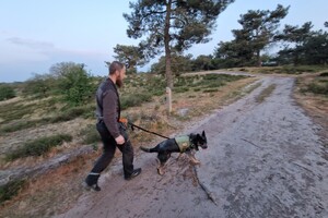 Vida: hondenschool jaar 2022