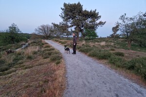 Vida en Yada: hondenschool