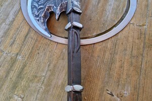 Silver en Bucky: dogdance curcus