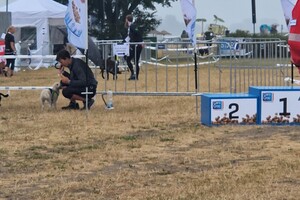 Silver: hondenschool jaar 2022