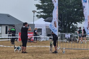 Silver: hondenschool jaar 2022