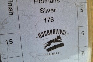 Silver: hondenschool jaar 2022