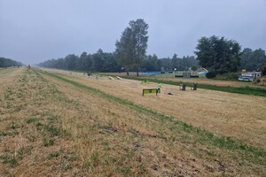 Silver: hondenschool jaar 2022