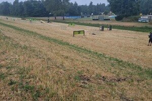 Silver: hondenschool jaar 2022