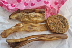 Bucky: hondenschool jaar 2022