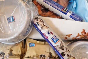 Bucky: hondenschool jaar 2022