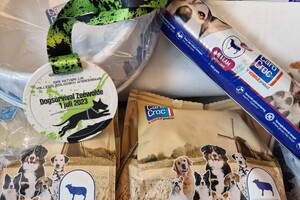 Bucky: hondenschool jaar 2022