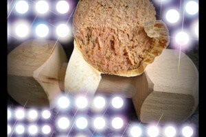 Silver en Bucky: FCI OBEDIENCE 