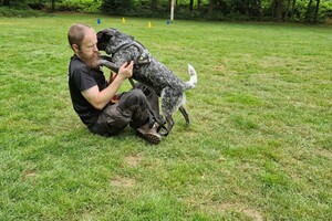 Silver: hondenschool jaar 2022