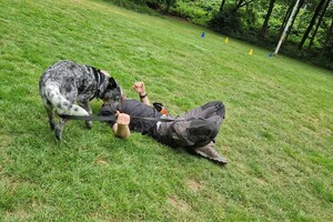 Silver: hondenschool jaar 2022