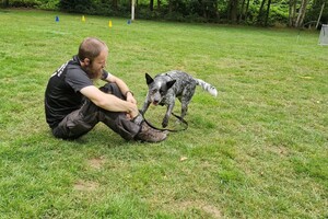 Silver: hondenschool jaar 2022