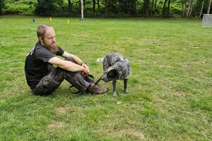 Silver: hondenschool jaar 2022