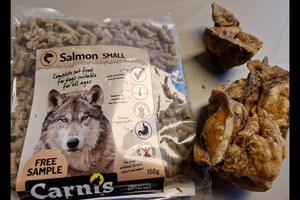 Dierendag bij Snuffelbos 