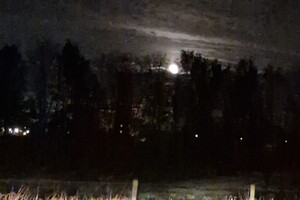 Yada: detectie Sinterklaas thema