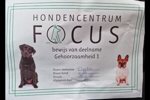 Vida: gehoorzaamheid 1 certificaat behaald 