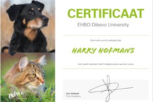 Basis Ehbo voor hond en kat