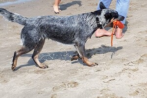 (23 augustus) Flynn aan het water