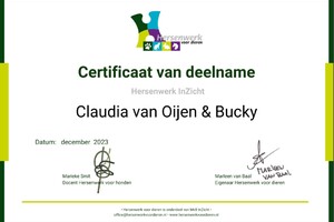 Hersenwerk - InZicht met Bucky