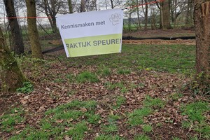 Silver: hondenschool jaar 2022