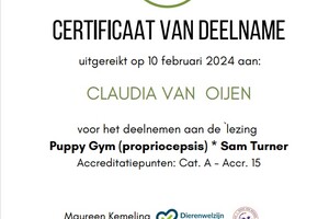 Sam Turner: Puppy gym lezing
