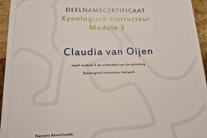 Curriculum vitae 2026 -