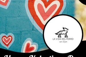 Tanden wisselen bij puppy