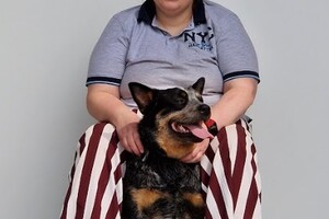 Yada: hondenschool jaar 2022