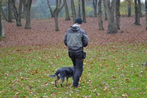 Vida: Gevorderdencursus