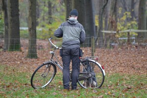 Vida: Gevorderdencursus