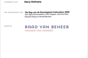 Curriculum vitae 2026  - 