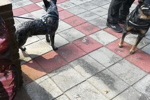 's Heerenberg: Mechteld ten Ham 