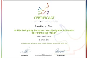 Herkennen Van Pijnsignalen Bij Honden Met Dominique Frohoff