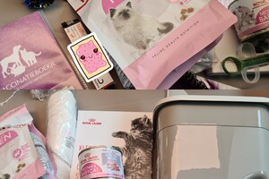 Clémentine (poes): het begin