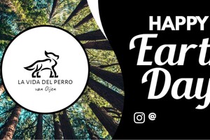 Ellis Coco: ik ben hersteld 