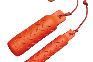 Ava Kira: KONG Training Dummy