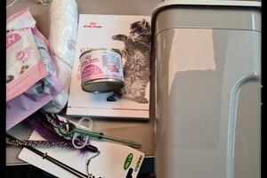 Clémentine (poes): het begin