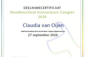 Curriculum vitae 2026 -