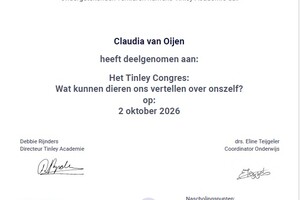 Curriculum vitae 2026 -