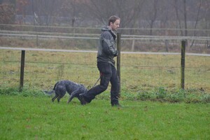 Izzy: Beginners curcus geslaagd