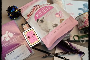 Clémentine (poes): het begin