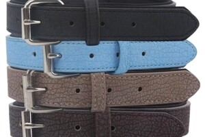 Welke halsband gebruiken jullie?