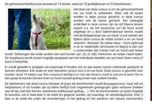 Soran Bart: ABC curcus