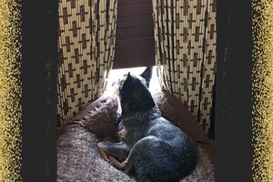 (9 mei) Happy woman's day