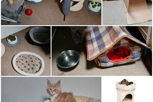 Clémentine (poes): het begin