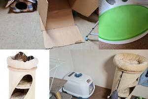 Clémentine (poes): het begin