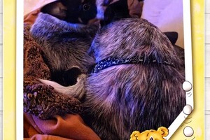 (4 april) Vrolijk Pasen!