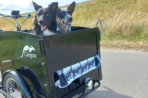 Dinsdag 26 juli 2022