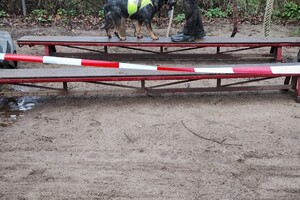 Yada: hondenschool jaar 2022