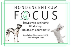 Yada: hondenschool jaar 2022